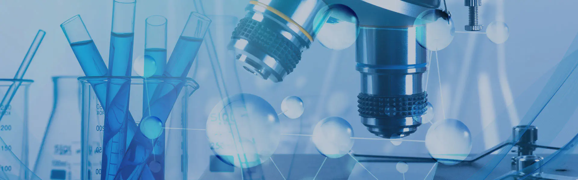 ကြှနျုပျတို့ကိုဆကျသှယျရနျ